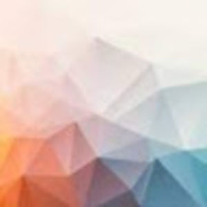 Meet your Posher, Ronni